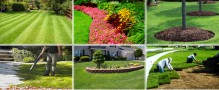 Nuñez Professional Landscaping Services - Spring & Fall Clean Ups